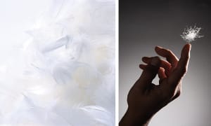 Sélection plumes et duvet